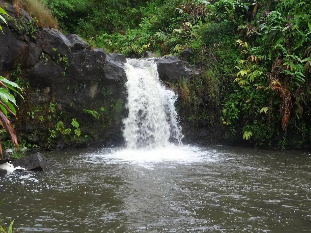 Kikala Waterfall Lodge 힐로 미국