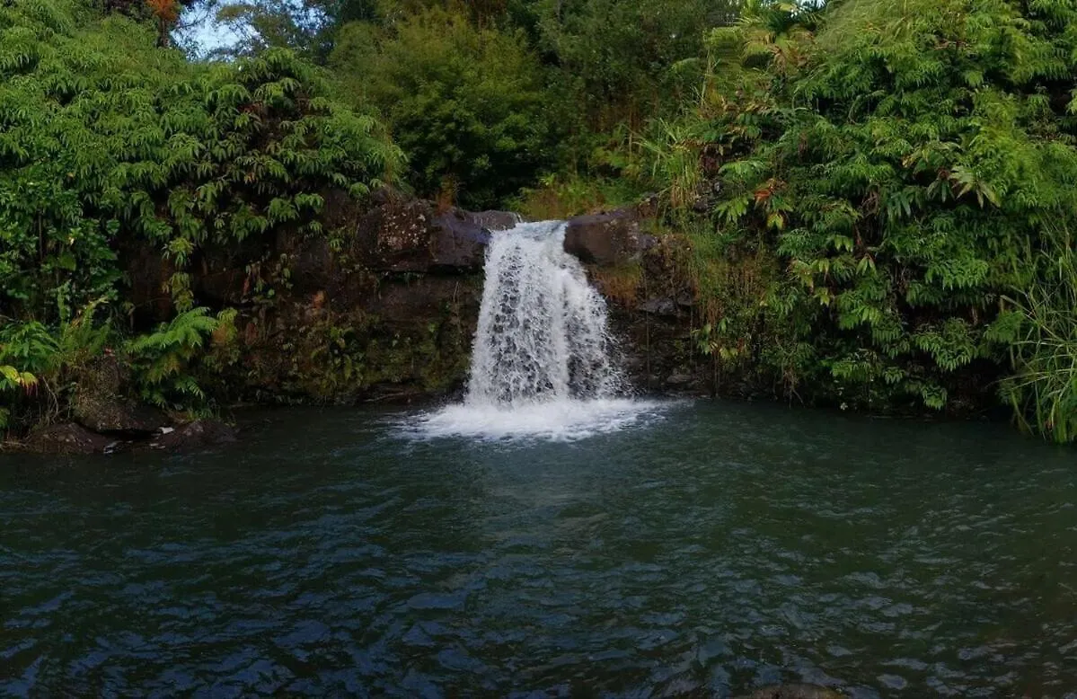 Kikala Waterfall Lodge 힐로 미국