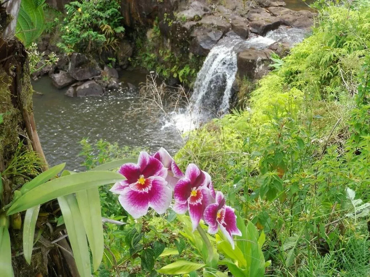 Kikala Waterfall Lodge Hilo